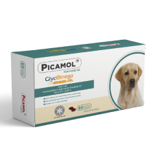 Picamol  綠貽脂  犬用60粒