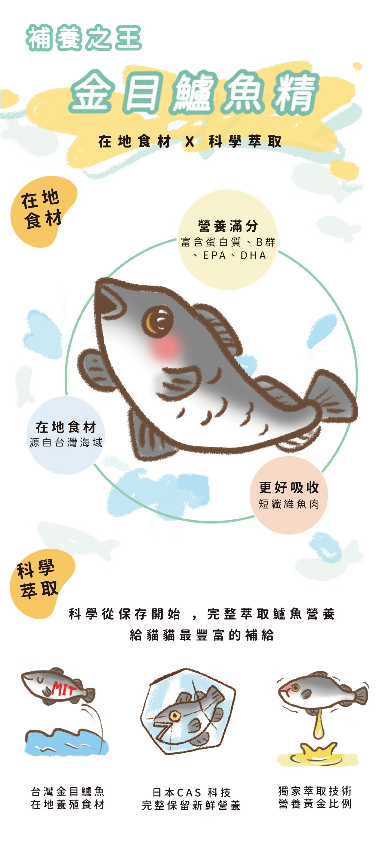 科學萃取鱸魚精 短纖維魚蛋白更好吸收